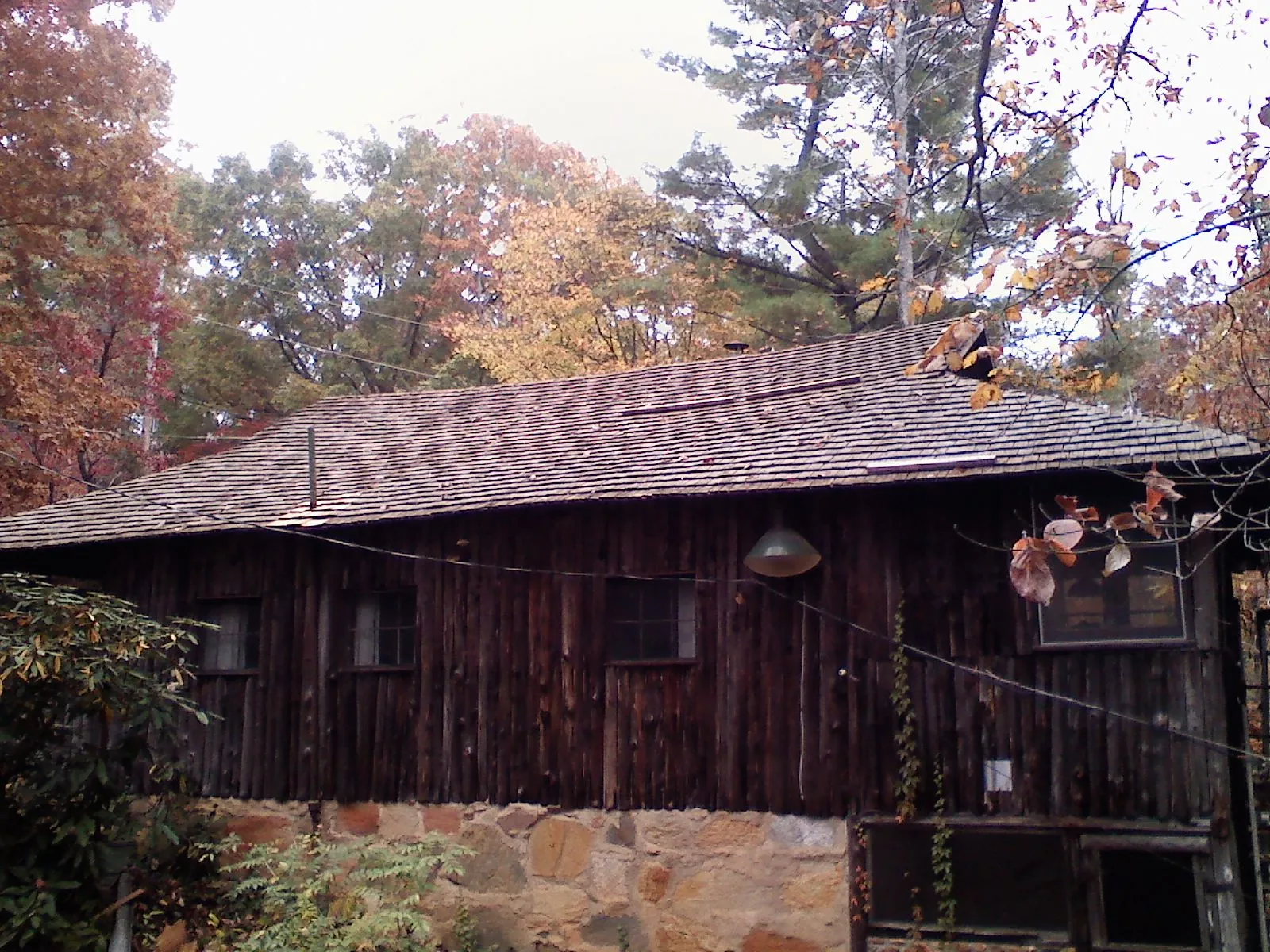 Weathered wood shake roof on a rustic board sided cabin in Morrisonville